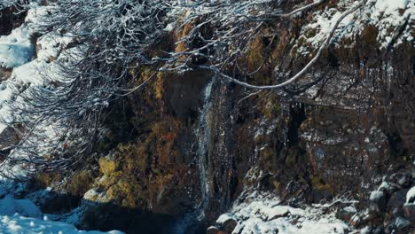 Der-Erste-Schnee-Liegt-über-Den-Niedrigen-Büschen-Und-Verwelktem-Gras-Auf-Den-Felsen-In-Der-Nähe-Des-Kleinen-Baches