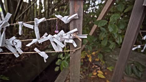 o-mikuji fortune paper strips tied on rope fence at japanese temple