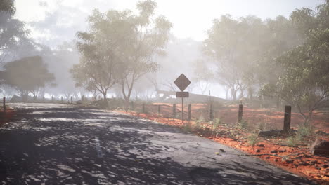 foggy road in the australian outback