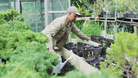 African-american-male-gardener-watering-seedlings-at-garden-center