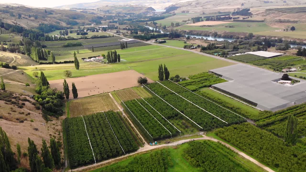 Valley filled with farms and plantations for producing food, aerial, New Zealand