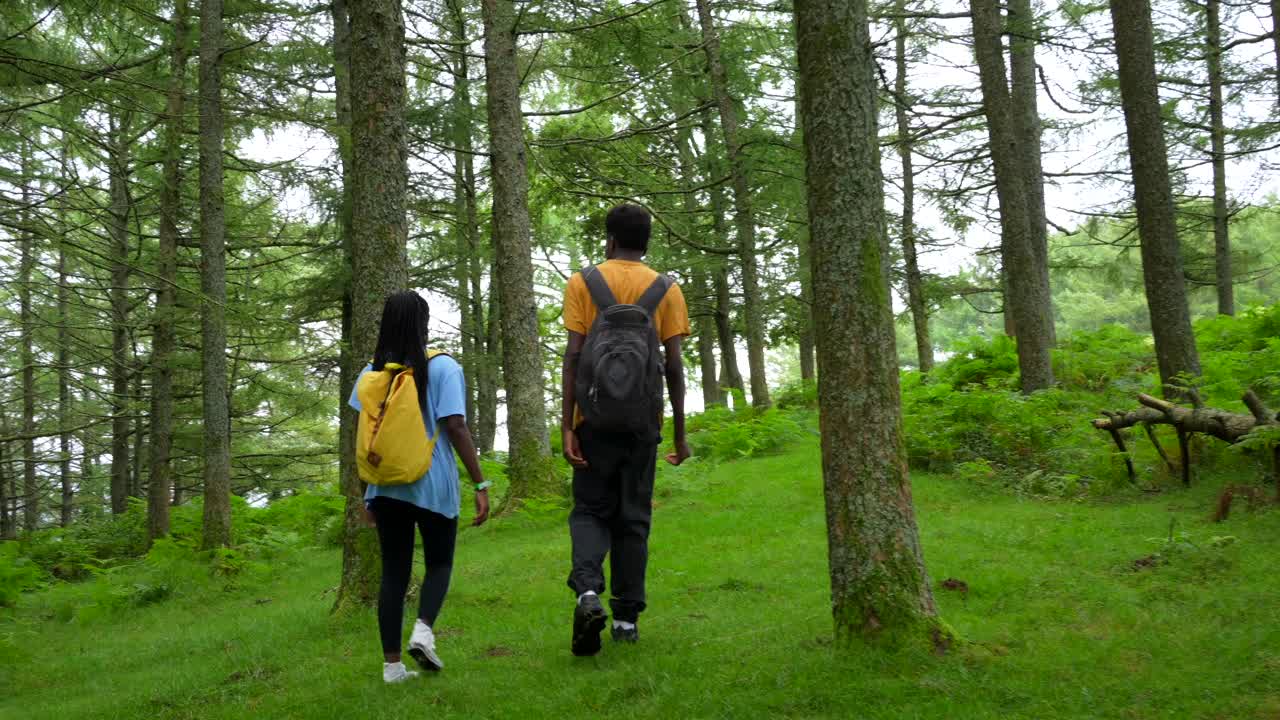 Two Young Adults Hiking Through a Lush Green Forest