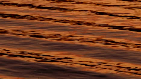 glare on golden water abstract background