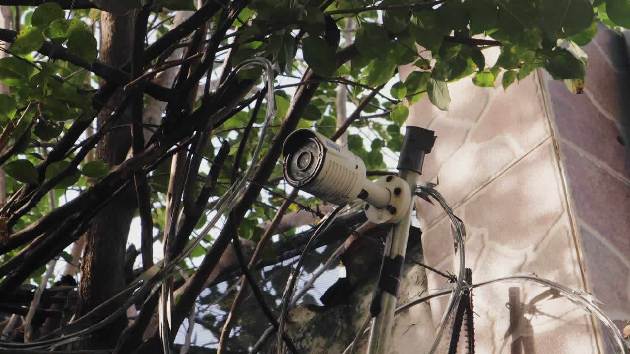 Damaged Security Camera in Overgrown Area