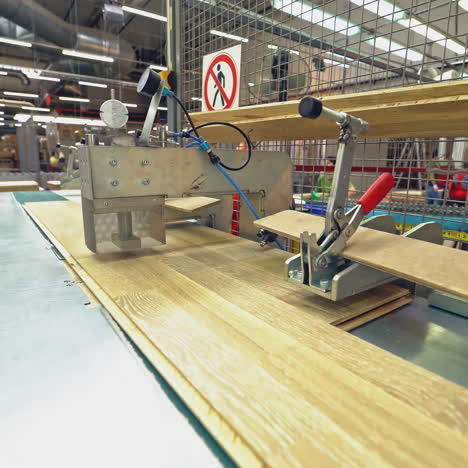 carpenter working with industrial tool in wood factory. manufacture of flooring, parquet processing