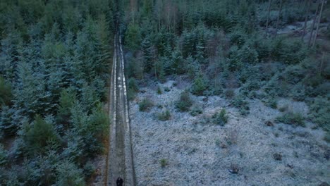 a man walks on a muddy path in the middle of a snowy forest in winter