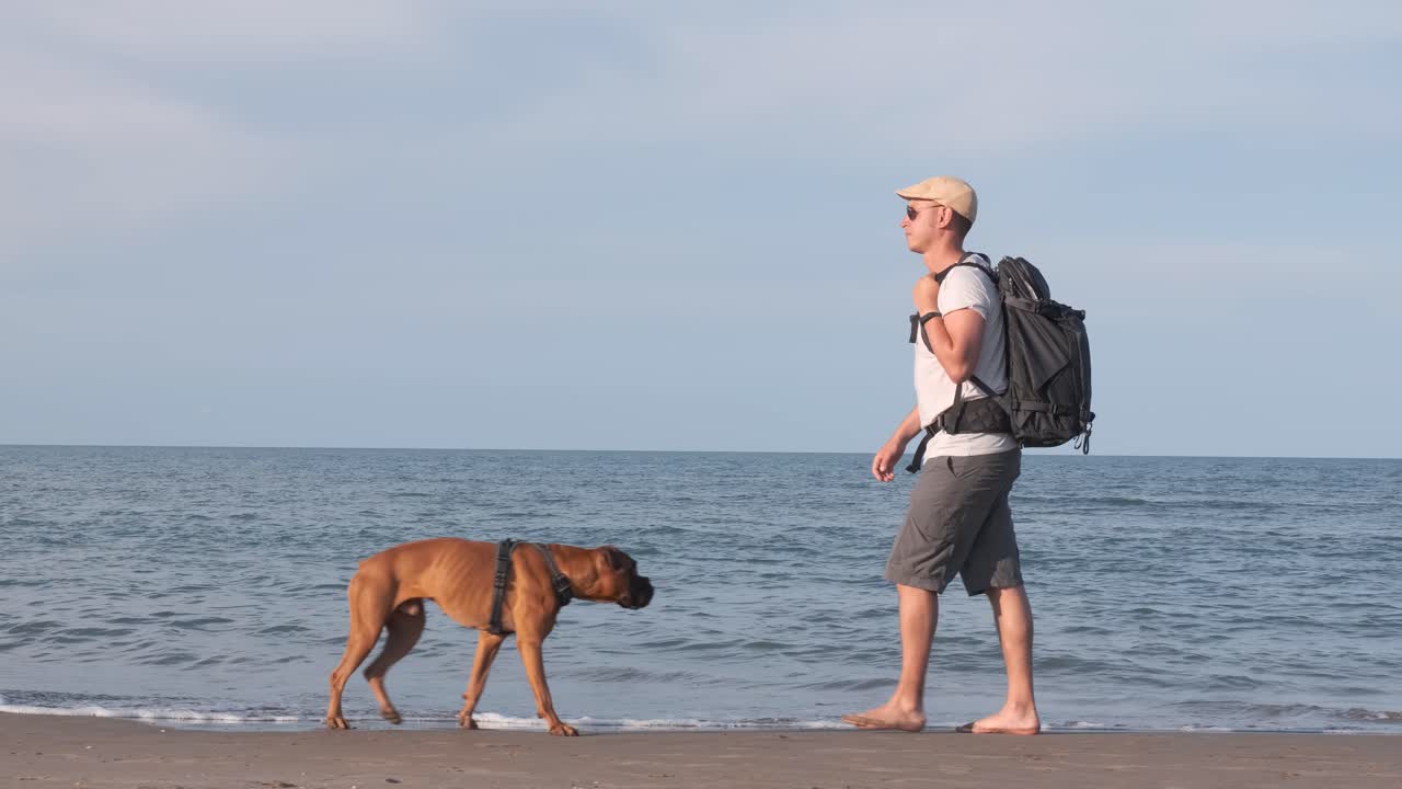 traveling man with his boxer dog walking on the beach