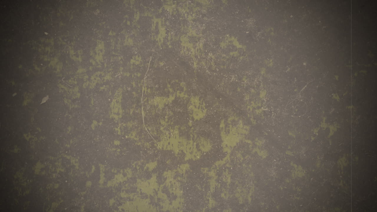 pared desgastada con textura áspera y manchas de suciedad y suciedad