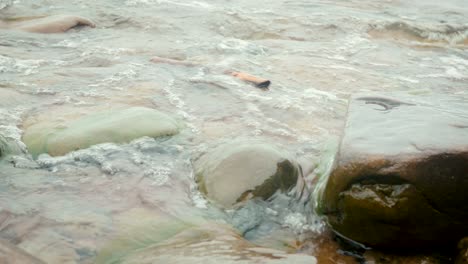 stick floating in waves