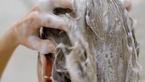 close-up of a woman hands gently washing ripe, juicy tomato under a stream of running water at a modern kitchen sink. mindful food preparation in a cozy home cooking environment.
