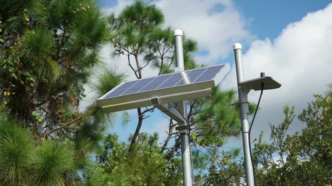 panel solar en un entorno forestal para el uso de energía local