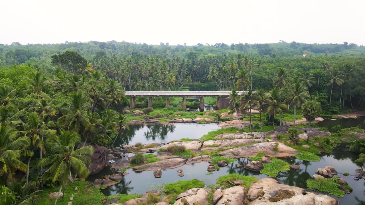 Breathtaking aerial drone shot of Kerala's tropical forest, with a meandering river surrounded by coconut palms.