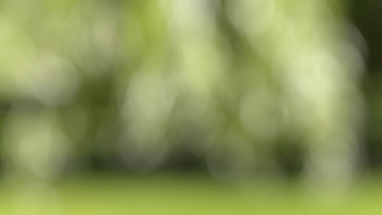 vuelo de aguacate y rebanadas en el fondo del jardín