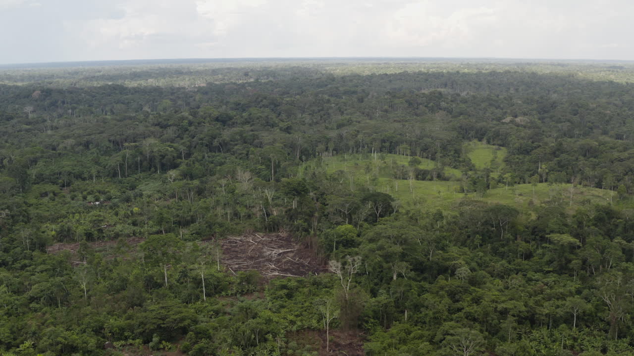 Aerial shot of the Amazon rainforest