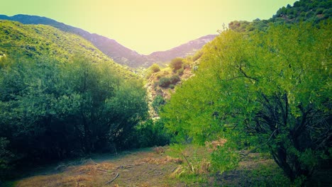 Atlasberg-Von-Blida-Algerien