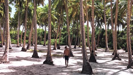 a solitary figure strolls barefoot along the curve of geiymiskih fannu beach, fuvahmulah, as gentle waves lap the crystal-clear shoreline.