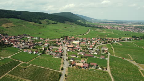 Aerial View of a French Vineyard Village