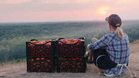 woman farmer sitting near boxes with tomatoes admiring the beautiful landscape resting after work