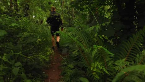 hombre caminando en el bosque 4k