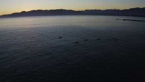 Kayak-En-El-Océano-En-Kiakoura-Nueva-Zelanda-Durante-Una-Hermosa-Puesta-De-Sol-Con-Amigos-A-Lo-Largo-Del-Océano