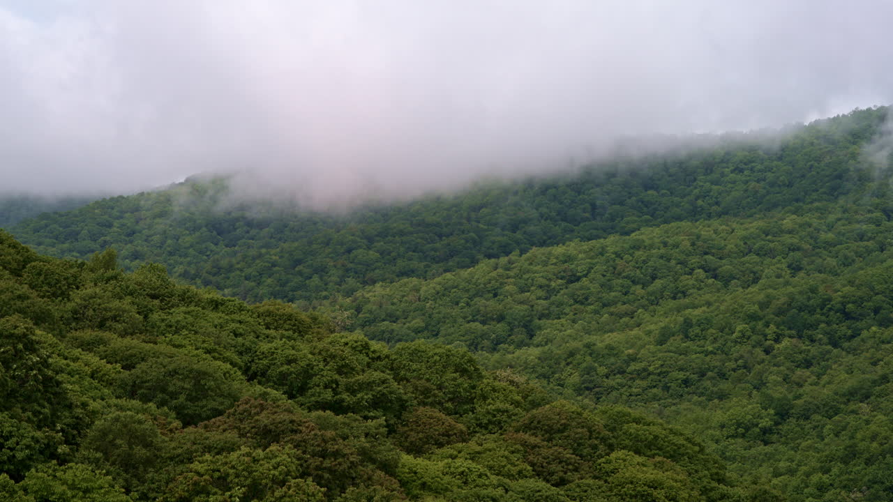 Drone glides over the foggy, ethereal Smoky Mountains