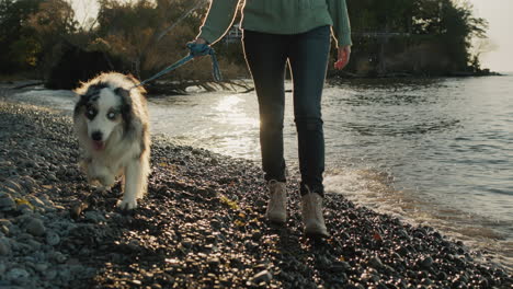 Woman-walking-with-a-dog-along-the-lake