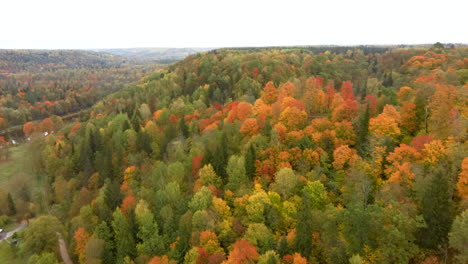 Autumn-Landscape-of-the-Autumn-Bright-Multi-colored-Trees,-Green,-Orange-and-Reddish-Tint