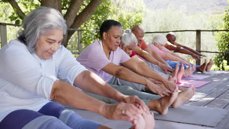 happy diverse senior yoga group sitting touching toes in sunny nature, slow motion