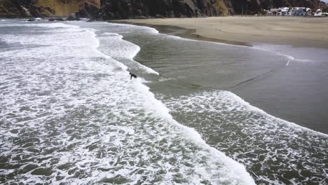 Toma-Aérea-De-Un-Surfista-Corriendo-Hacia-El-Mar-Sosteniendo-Su-Tabla-De-Surf-En-Una-Playa-De-Arena