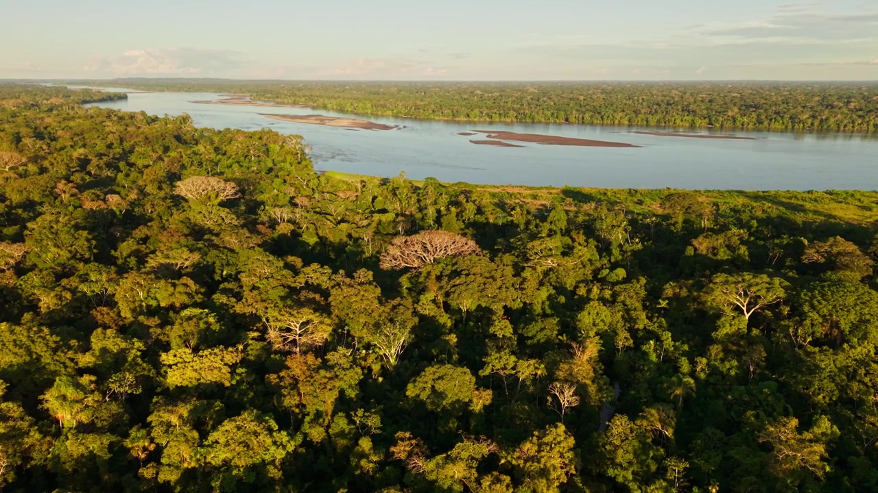 Majestic aerial view of the amazon rainforest and a wide river at sunrise in ecuador