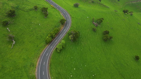 curved road in green prairie in dunedin area, new zealand, aerial downwards view