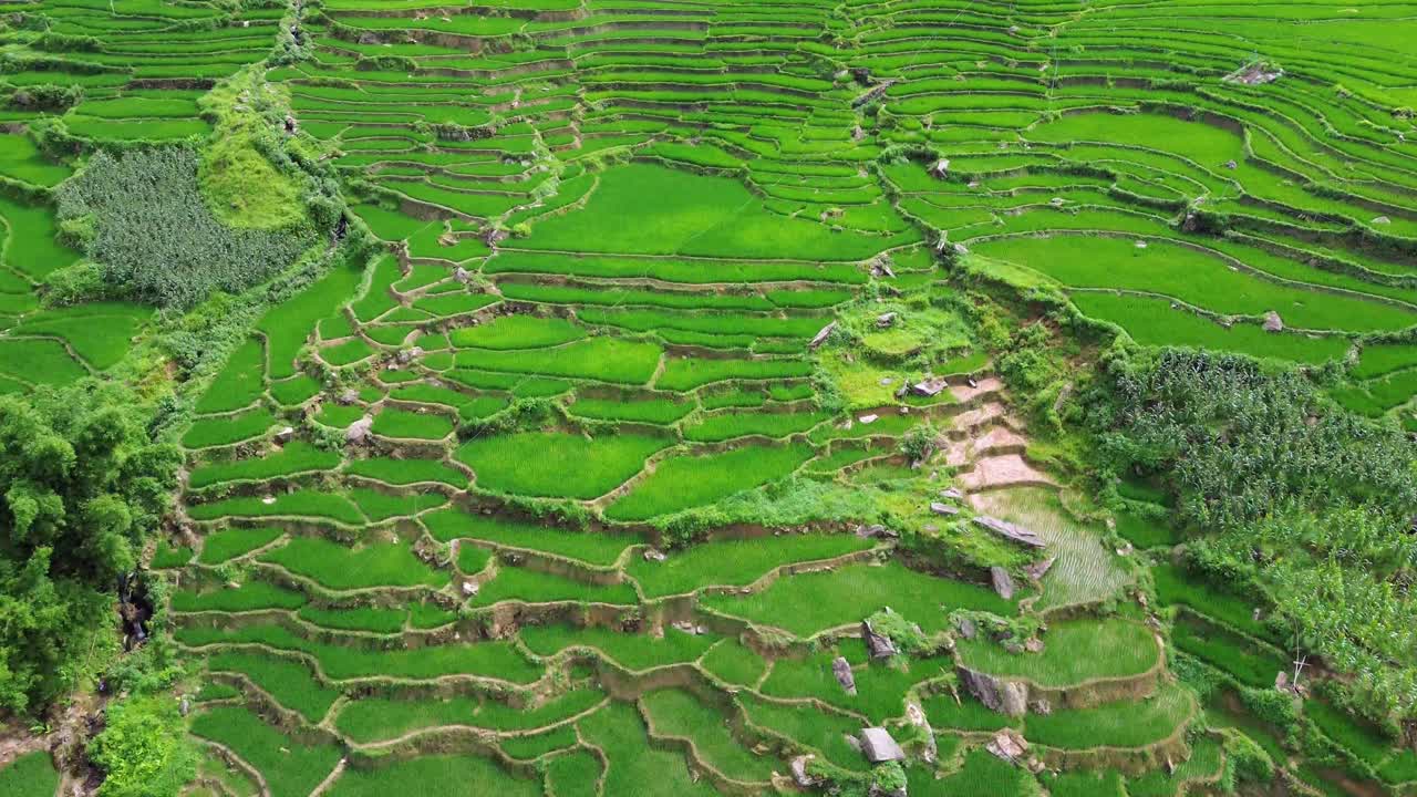 Aerial view of rice terraces and small village in Sapa, Vietnam, showing traditional houses, farmland, and dramatic mountain landscape