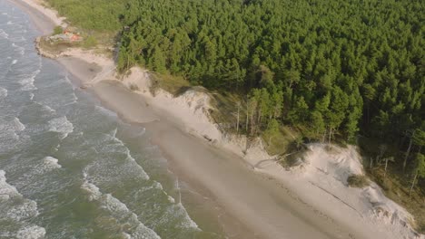 Vista-Aérea-De-Establecimiento-De-La-Costa-Del-Mar-Báltico,-Día-Soleado,-Dunas-De-Arena-Blanca-A-La-Orilla-Del-Mar-Dañadas-Por-Las-Olas,-Bosque-De-Pinos,-Erosión-Costera,-Cambios-Climáticos,-Tiro-De-Drones-De-Gran-Angular-Moviéndose-Hacia-Atrás,-Inclinación-Hacia-Arriba