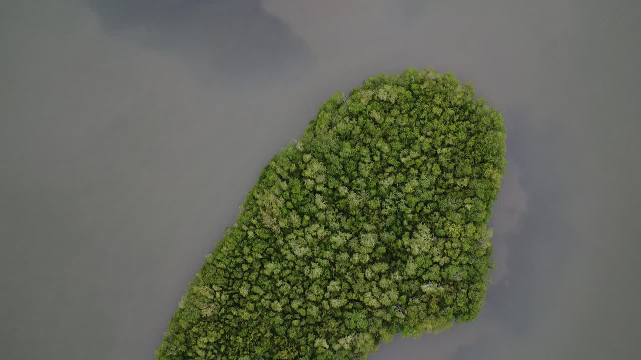 Aerial bird's eye view over row of islands covered with green vegetation in Mandinga Lagoon mangrove area, Veracruz, Mexico at daytime