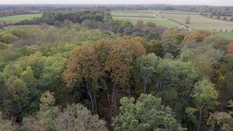 areal drone footage over forest and trees with autumn colors taken at place called uetz in brandenburg, germany