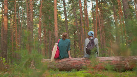 hiker share a joyful moment on fallen tree in peaceful forest, one wearing blue bandana smiles warmly, while her companion in green shirt rests hand on tree, both look at each other with warmth