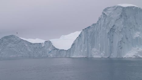 gaviotas en cámara lenta vuelan frente a un gran iceberg flotando frente a la costa de groenlandia en un día nublado