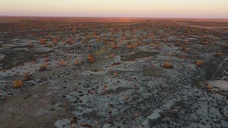 Imágenes-De-Drones-Del-Campamento-De-Coopers-Creek-En-La-Pista-De-Birdsville,-En-El-Interior-De-Australia-Del-Sur,-Al-Atardecer