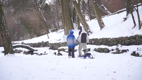 Zwei-Kinder-Mit-Schlitten-Im-Winterpark