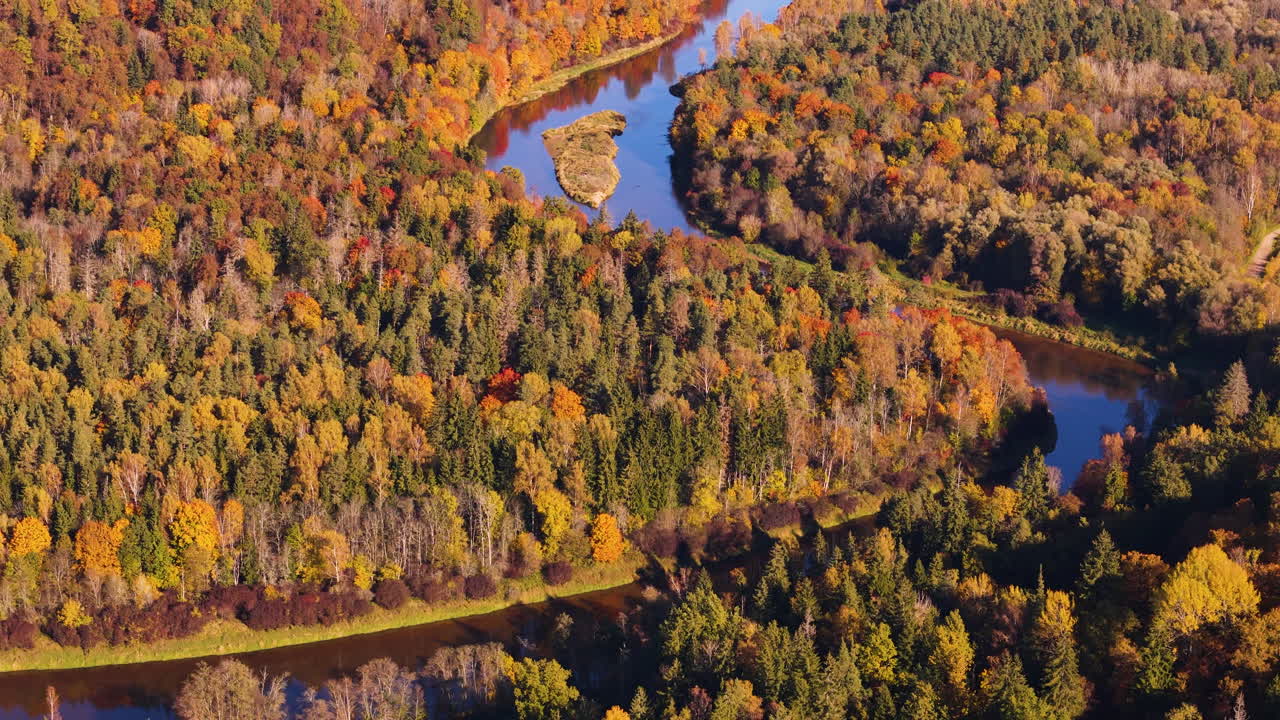 Beautiful golden autumn landscape with river in Sigulda, Latvia. Aerial tilt up