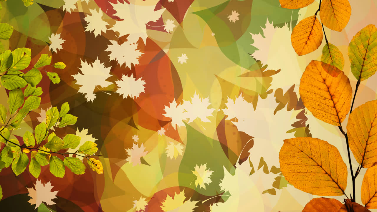 가을 풍경 에 떨어지는 잎 들 의 애니메이션
