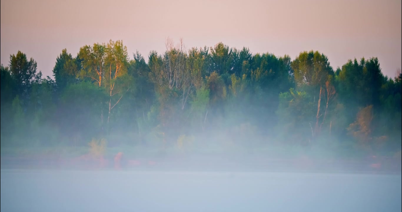 Timelapse af morgentåge over flod og skov