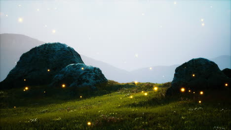 big-stones-in-grass-field