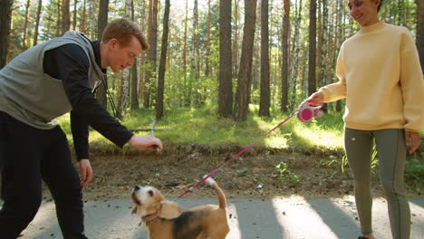 una pareja jugando con su perro en el bosque.