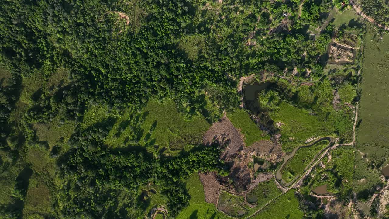 vista aérea de drones del campo de la selva de bolivia cerca de santa cruz 4k de alta resolución