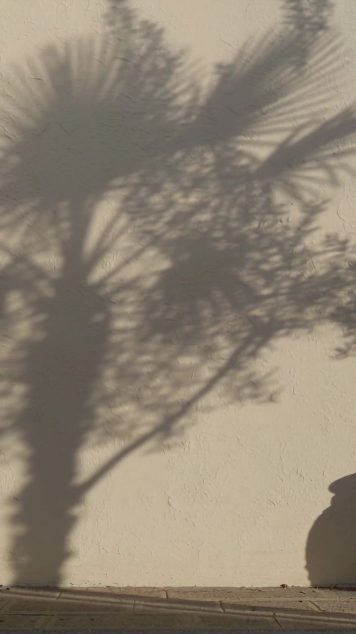 Vertical video: Swaying in breeze, palm and bush shadows moving across stucco wall, planter at base