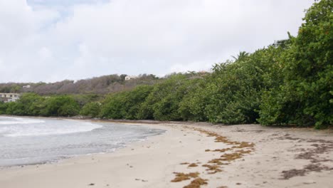 Aislada-Playa-De-Segresse-En-Granada-Con-Exuberante-Vegetación-Y-Suaves-Olas