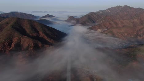 a foggy autumn highway scene