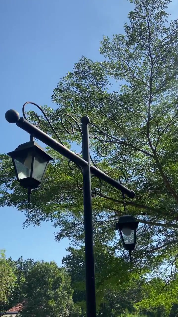 Lampu Jalan Hias dengan Langit Biru Cerah dan Pepohonan Hijau