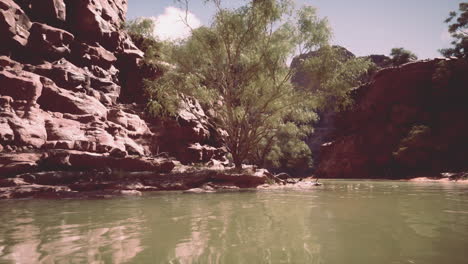 a lone tree standing on a rocky island in a river